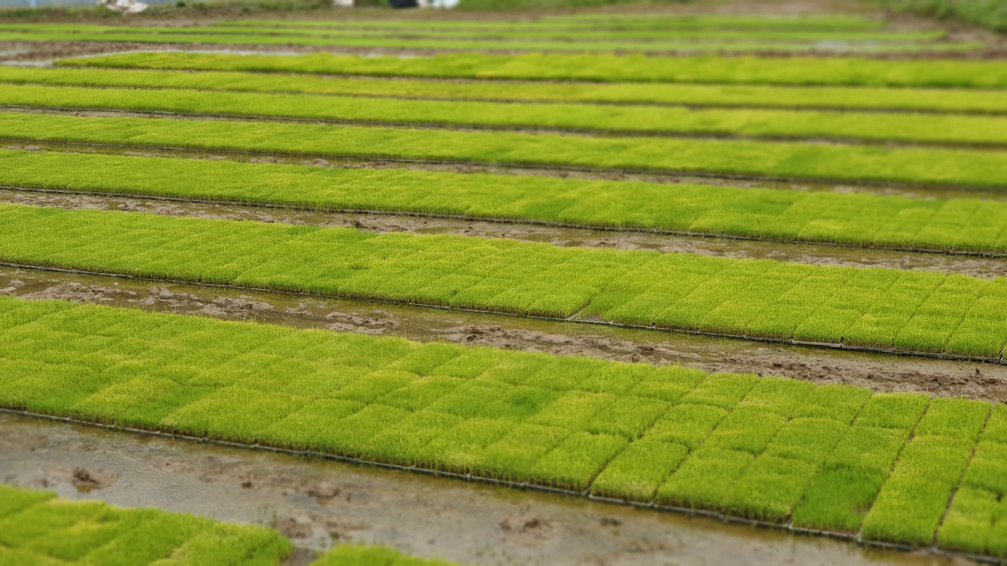 2020년5월16일 체험 08